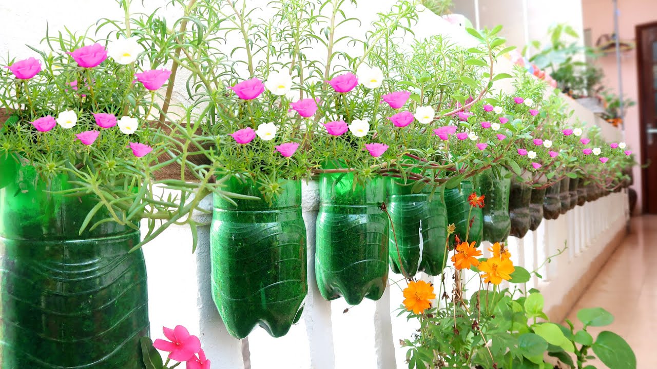 Giardino da balcone - vasi interessanti