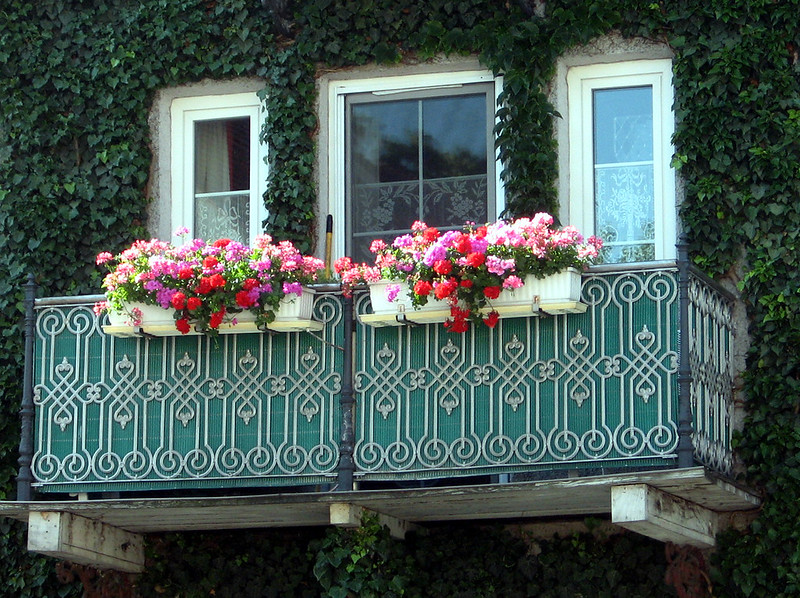 A small balcony in an apartment - choose the power of plants