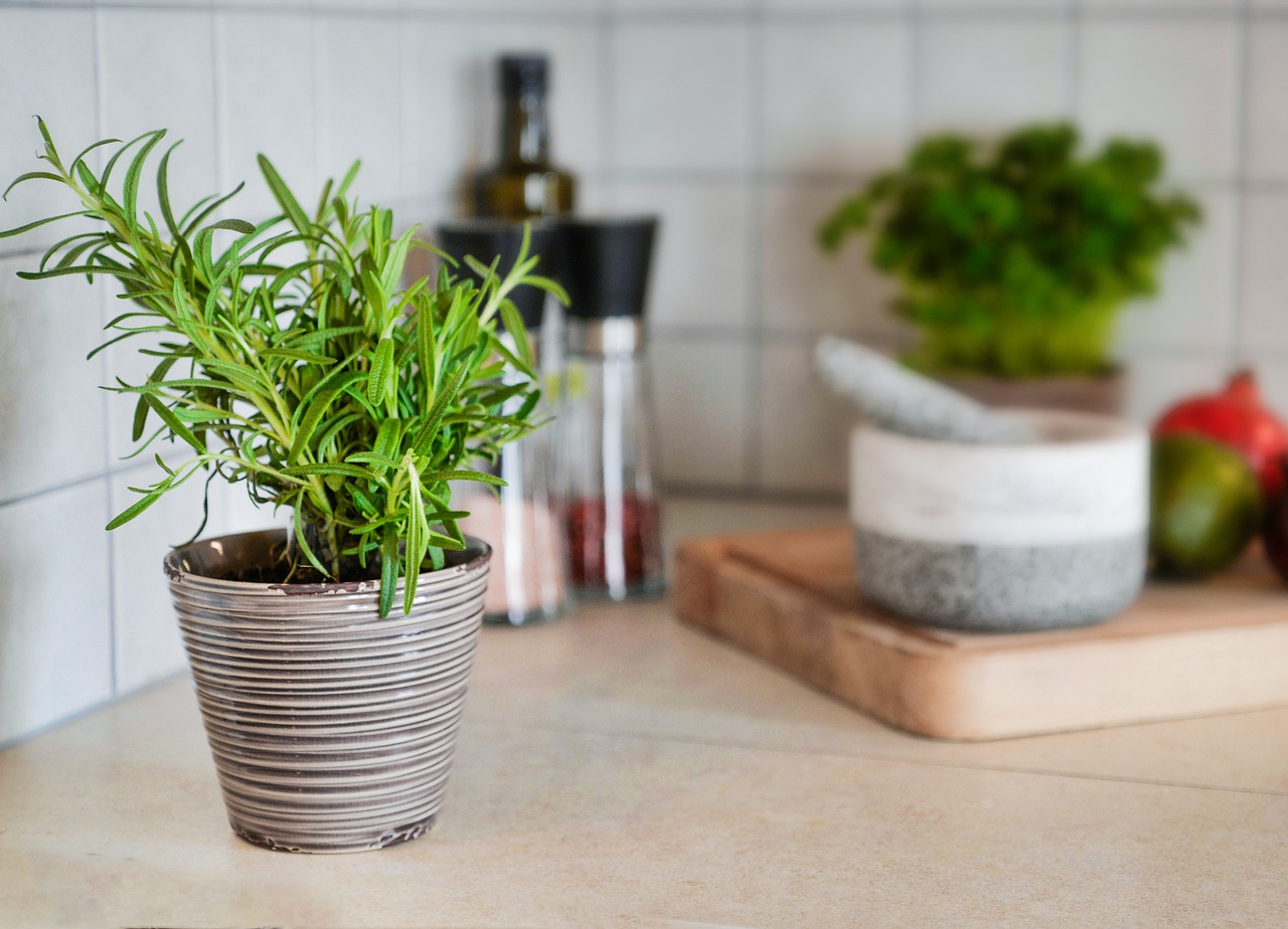 Le cucine bianche amano le erbe e gli accenti verdi