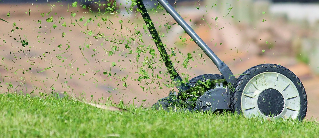 Los errores más comunes cometidos al plantar semillas de hierba