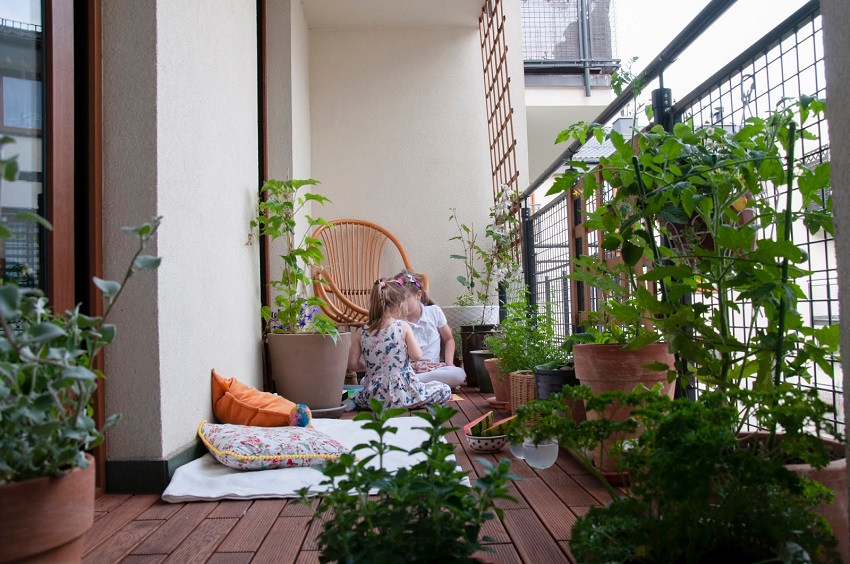 Edera comune - piante rampicanti da balcone