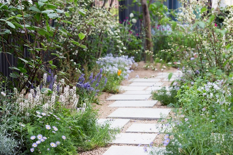 Perennes para un jardín forestal