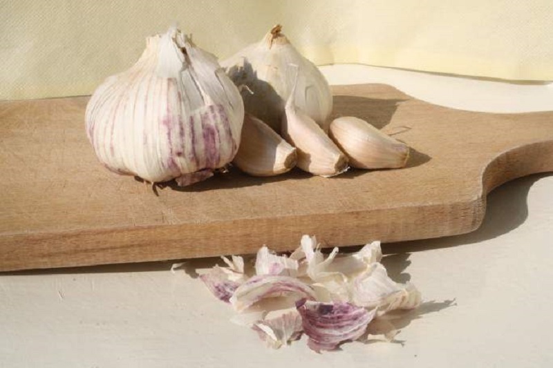 Knoblauch-Springschwanz-Insektizid - ein bewährtes Hausmittel