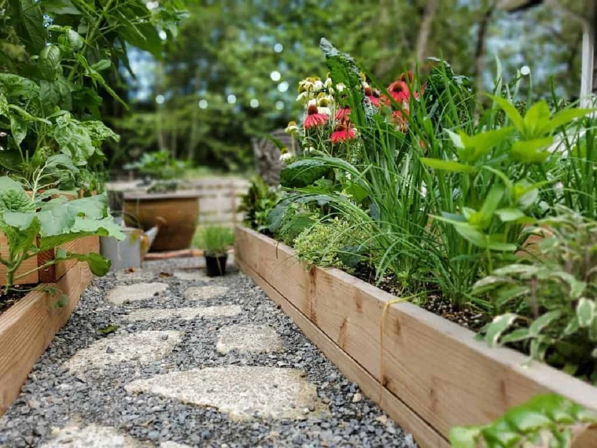 4 Ideen für den Gemüsegarten - Lernen Sie, wie Man Einen Gemüsegarten Anlegt