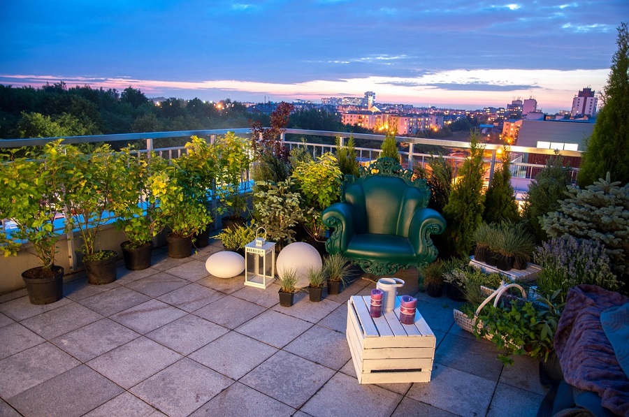 Nadelholz-Topfbäume für die Terrasse - Fichte und Zypresse