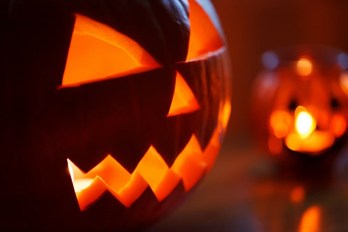 Zachwycająca dynia - Halloween bez niej nie byłoby takie samo