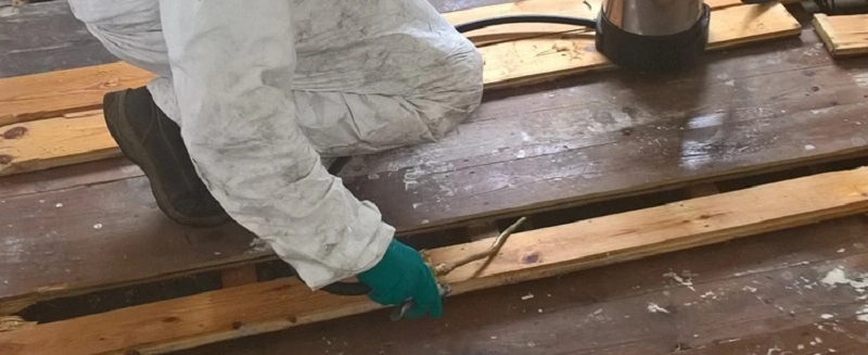 Fumigación de la madera: los escarabajos de los muebles no tienen ninguna posibilidad