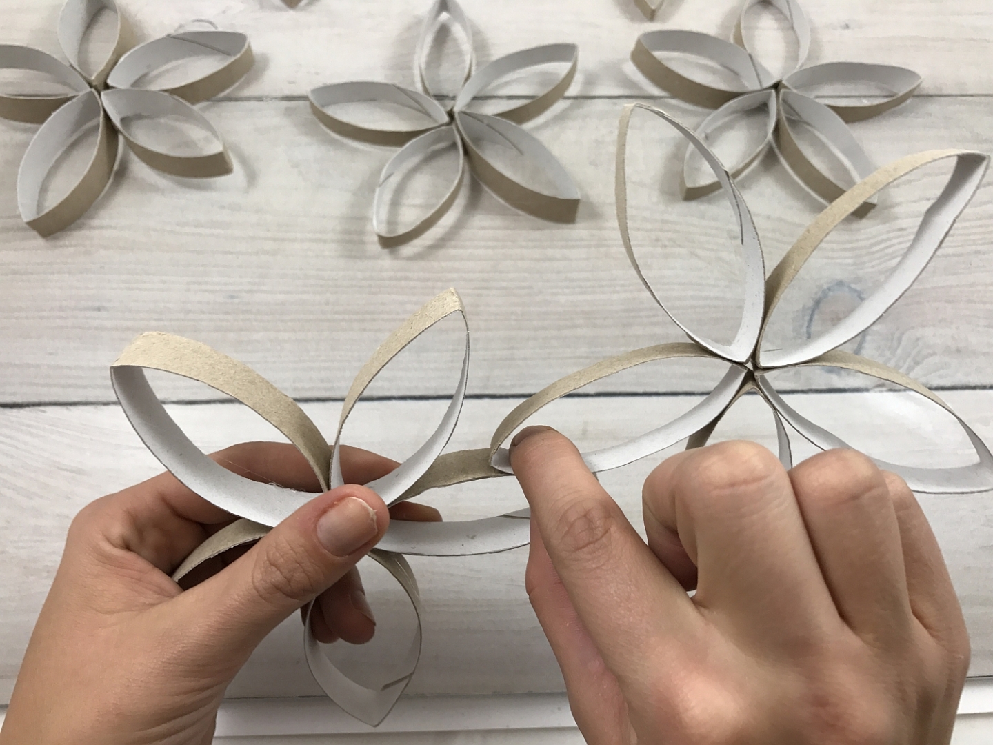 Rouleaux de papier toilette - Idées de décorations de fenêtres de Noël