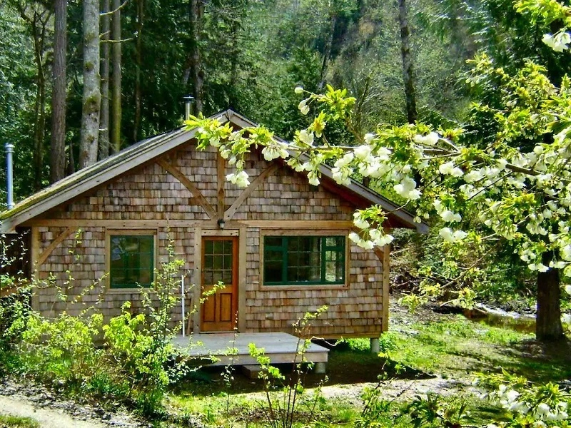 Wie legt man einen Waldgarten an?