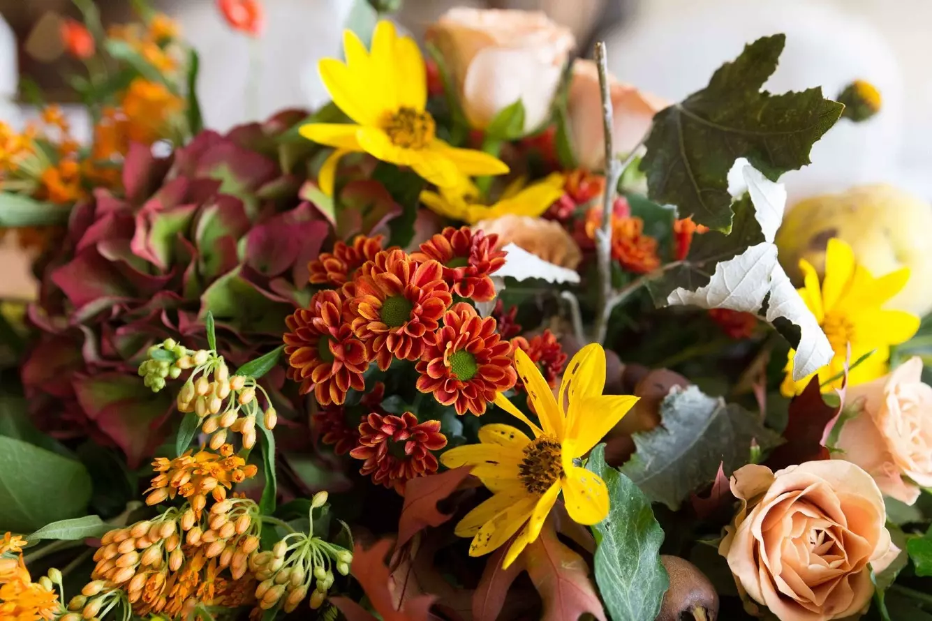 Flores de Otoño - Descubre las 22 Plantas Otoñales Más Populares