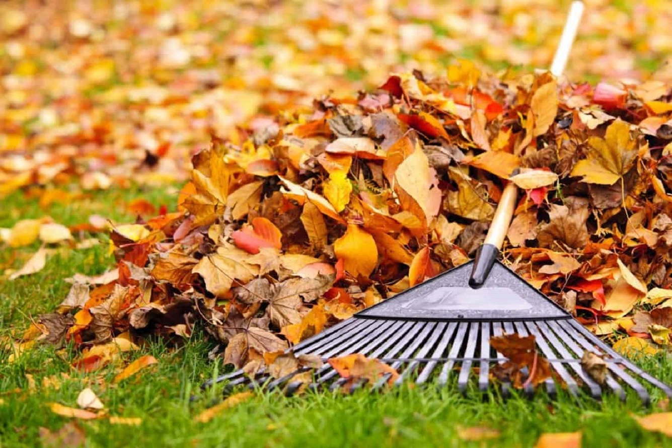 Paisajismo de Otoño - Consejos para la Limpieza y el Mantenimiento del Patio en Otoño