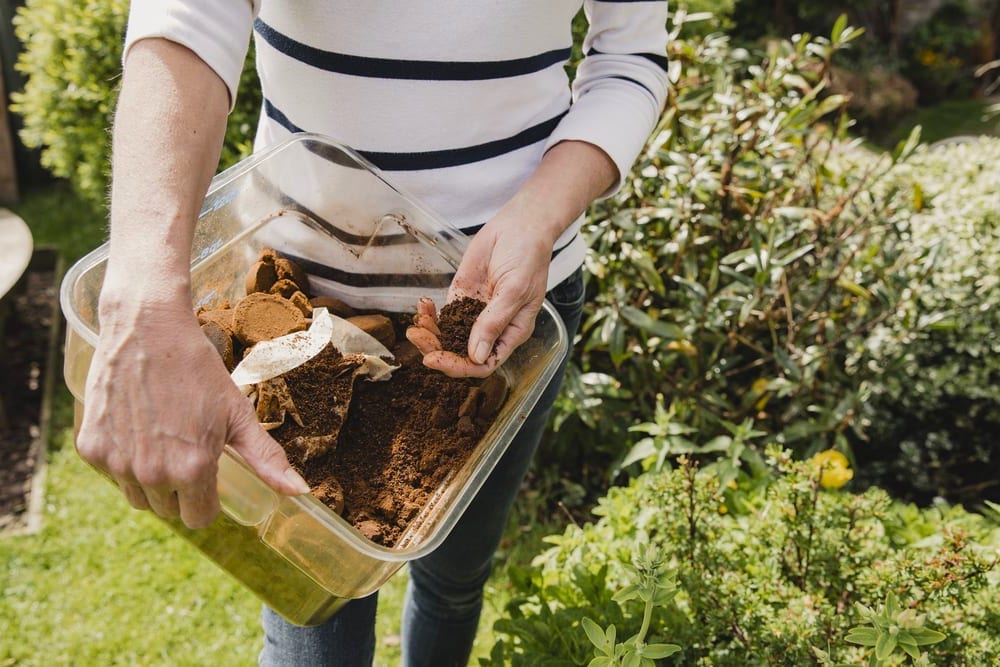 Caffè e cannella - le lumache da giardino non hanno alcuna possibilità