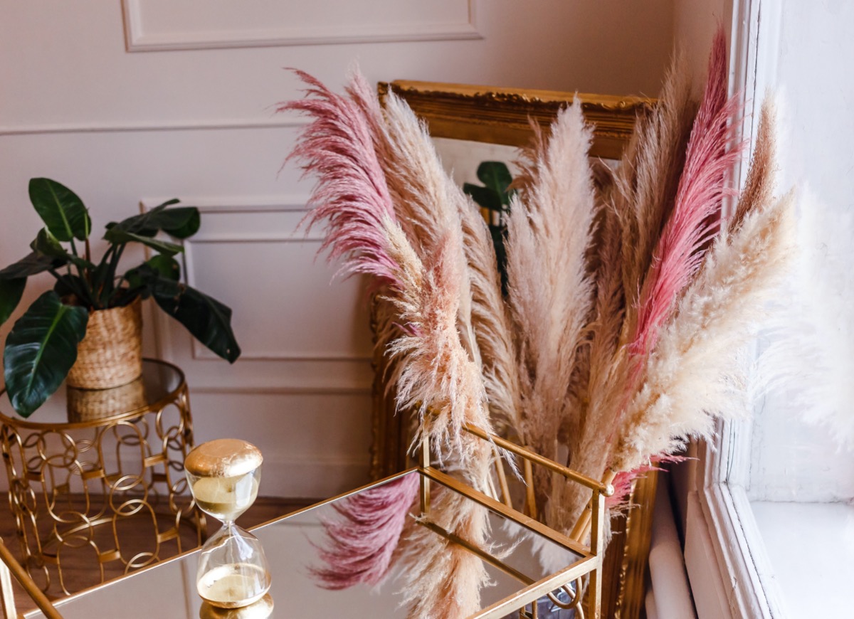 Colorful pampas grass - beautiful home decor