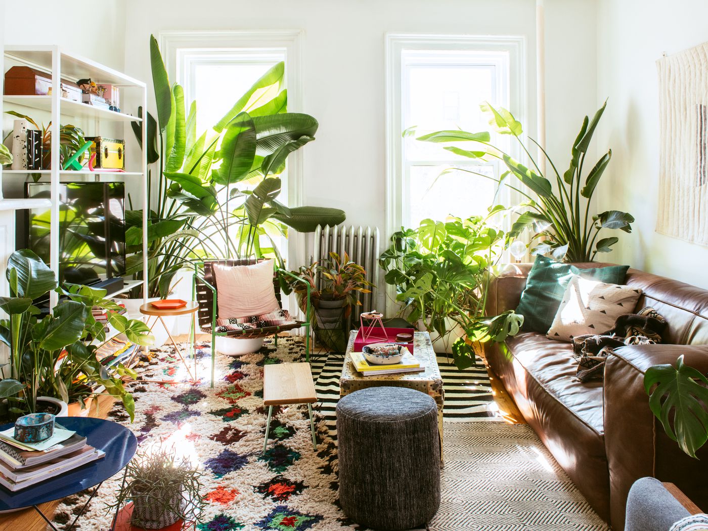 ¿Por qué hay que poner plantas en el salón?