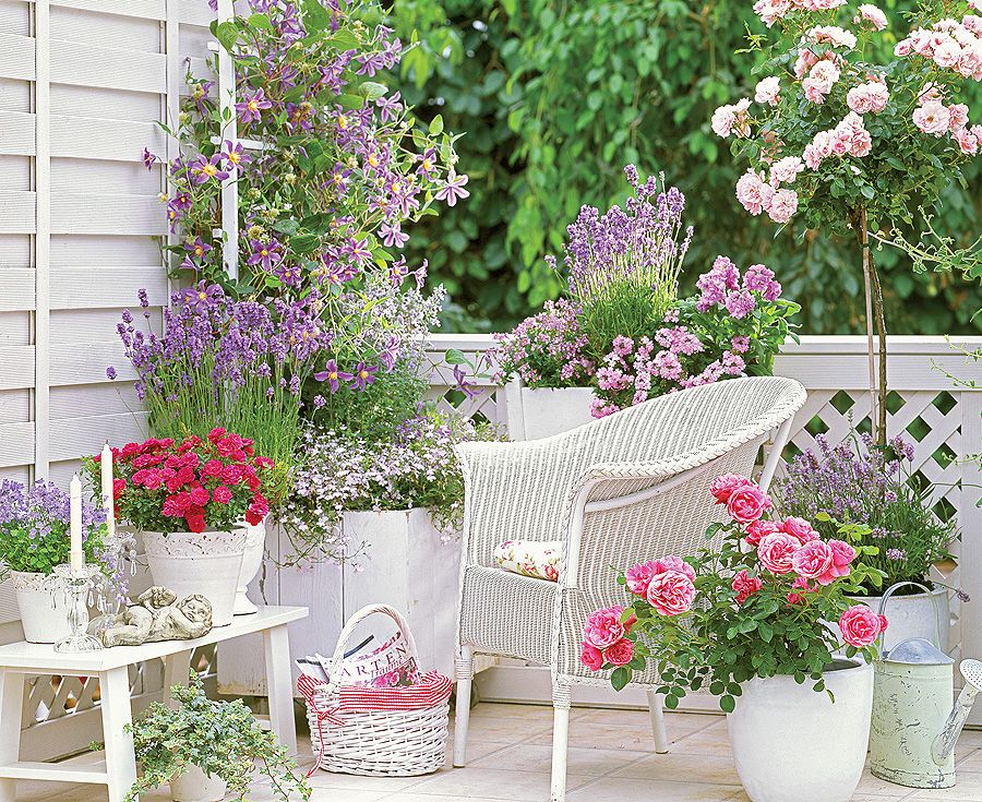 Piante da giardino sul balcone - un design interessante