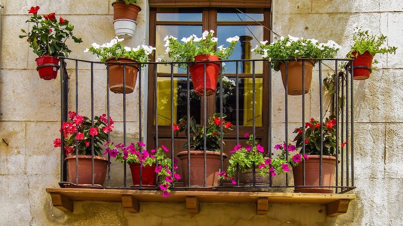 Fiori da Balcone - Trovare le Migliori Piante per il Balcone