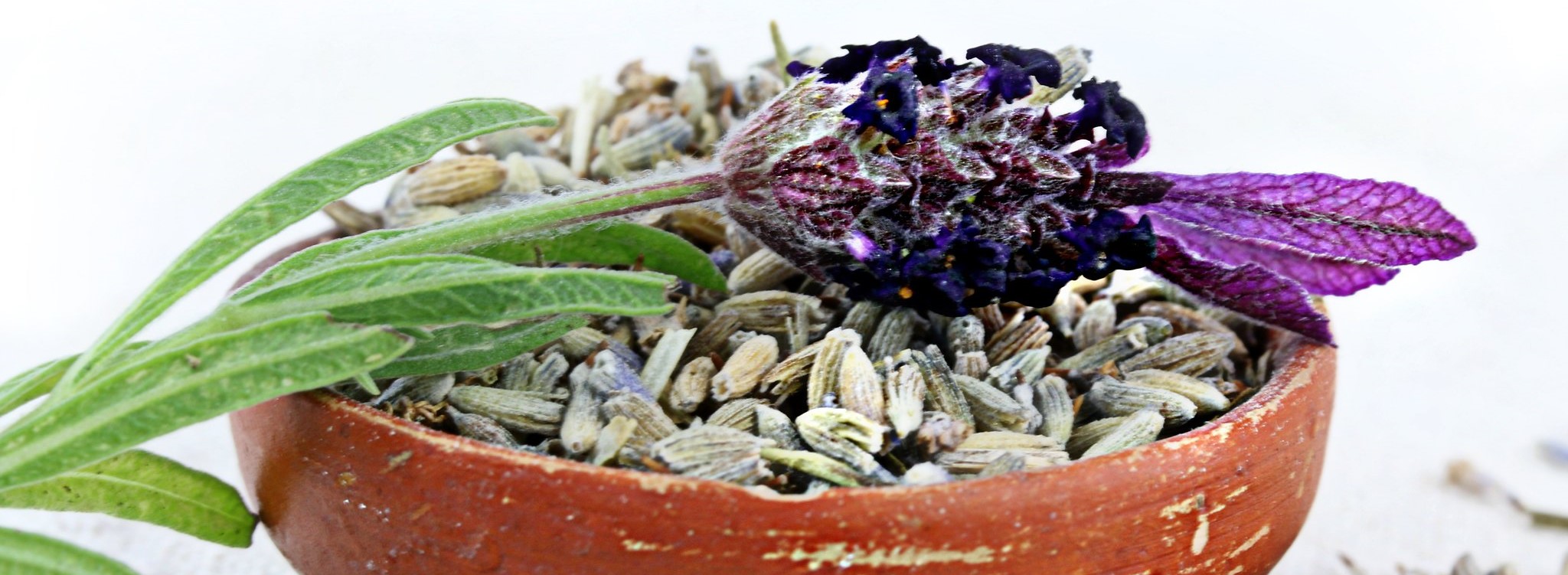 Lavanda en una olla... ¿qué deberías saber sobre eso?