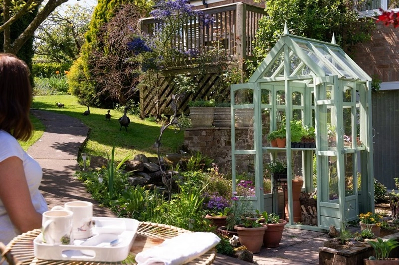 Un piccolo giardino forestale - un accenno di una vera foresta vicino a casa vostra