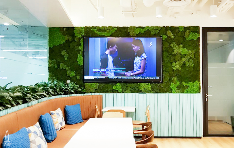 Mur de télévision en mousse dans le salon