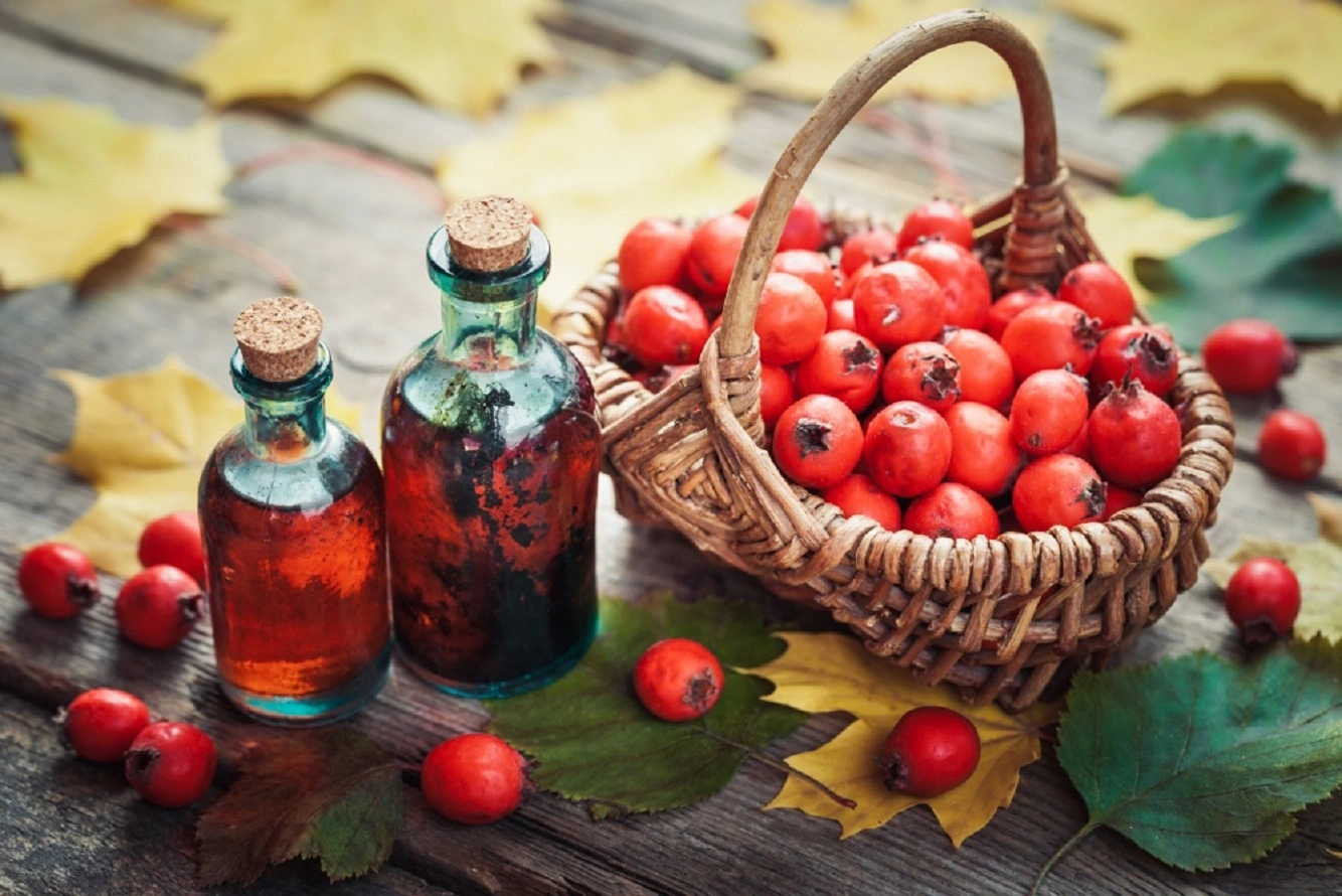 Weißdornbeeren Tinktur - Gesundheitliche Vorteile und 3 Leckere Rezepte