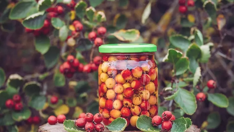 Weißdornbeeren-Tinktur - das Rezept, das Sie kennen müssen