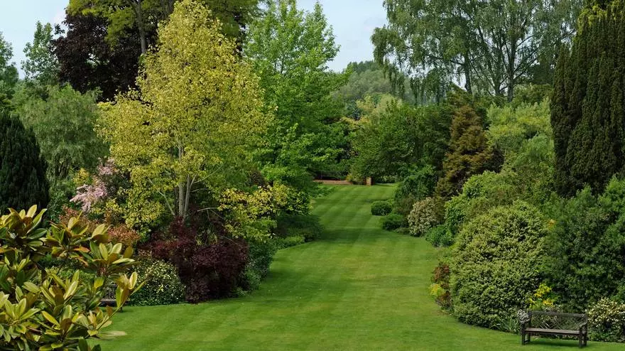 Jardin forestier - un aménagement paysager moderne