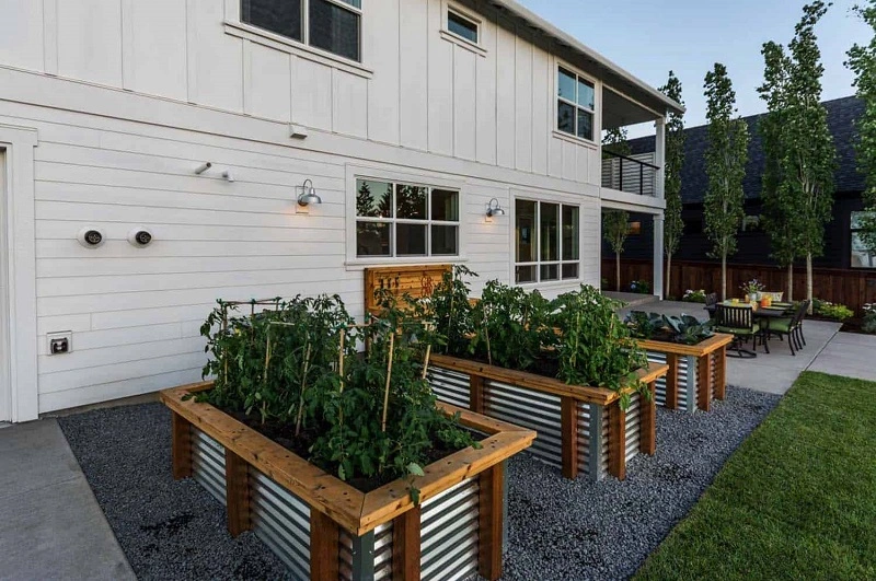 A modern vegetable garden