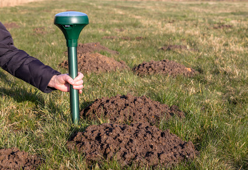 Come sbarazzarsi delle talpe del terreno - suono repellente per talpe