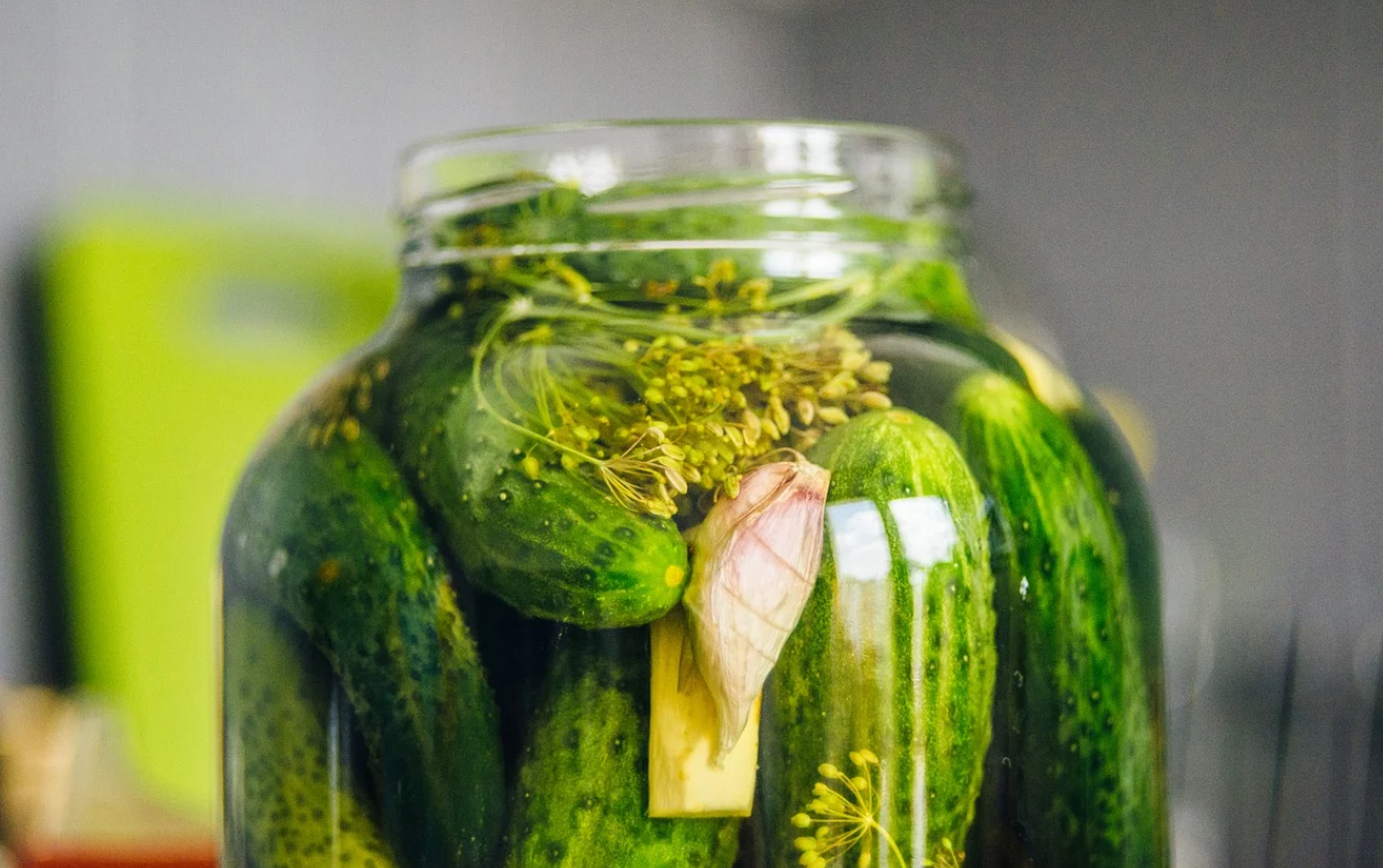 Wie Stellt Man Essiggurken Her? 4 Bewährte Salzgurken-Rezepte