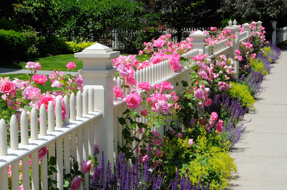 Las flores del jardín inglés: plantas perennes decorativas