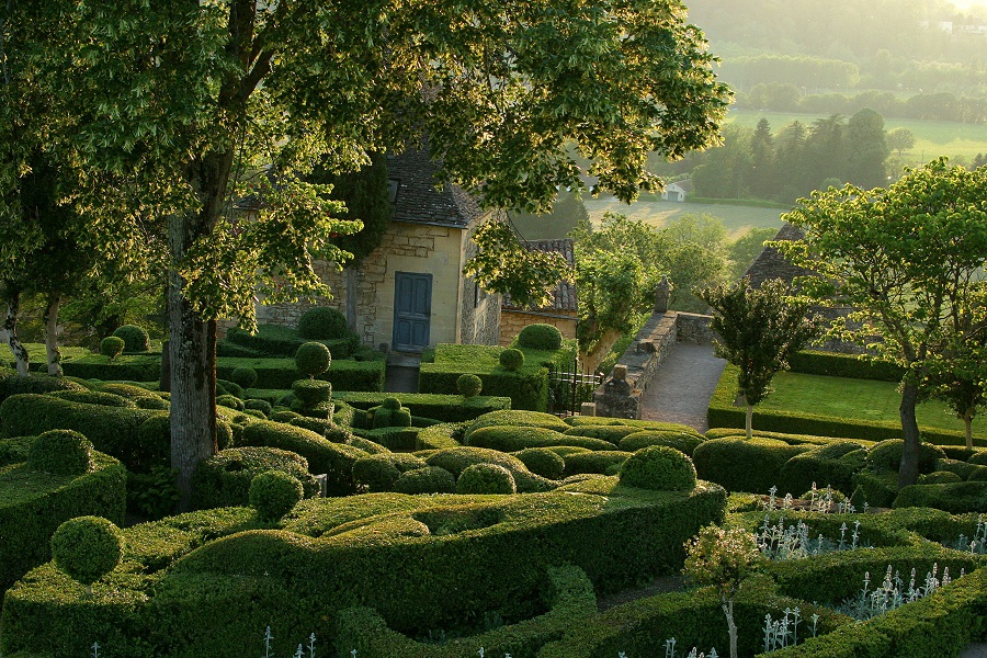 Quali sono le migliori piante per un giardino alla francese?