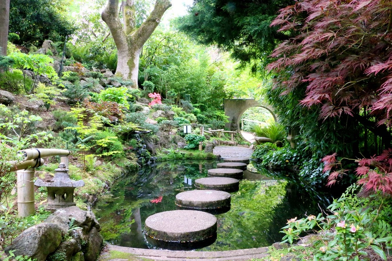 How to Create a Forest Garden? 3 Forest Garden Design Ideas