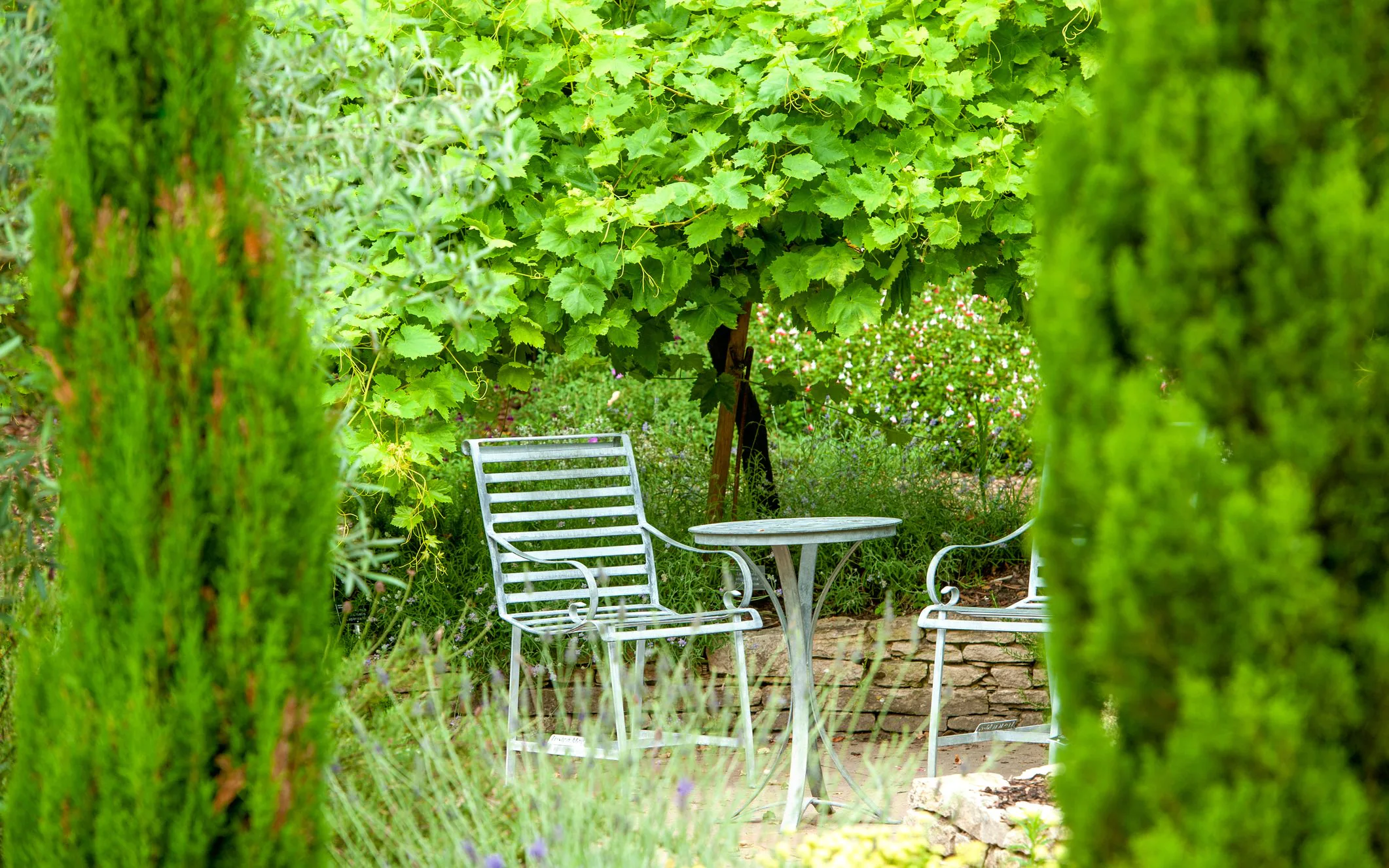 Cose da evitare quando si progetta un giardino all'inglese