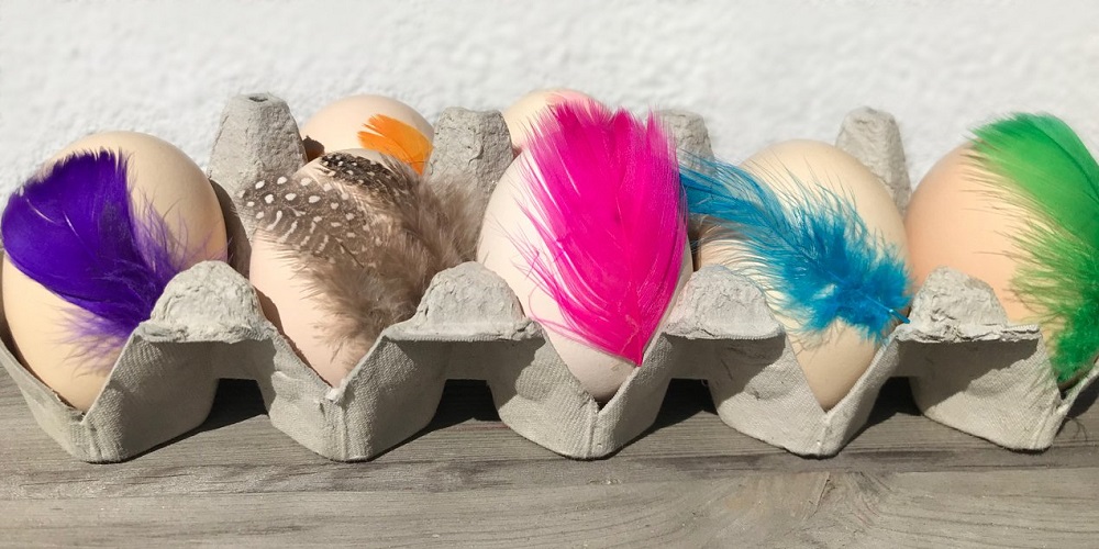 Simple Easter eggs with feathers