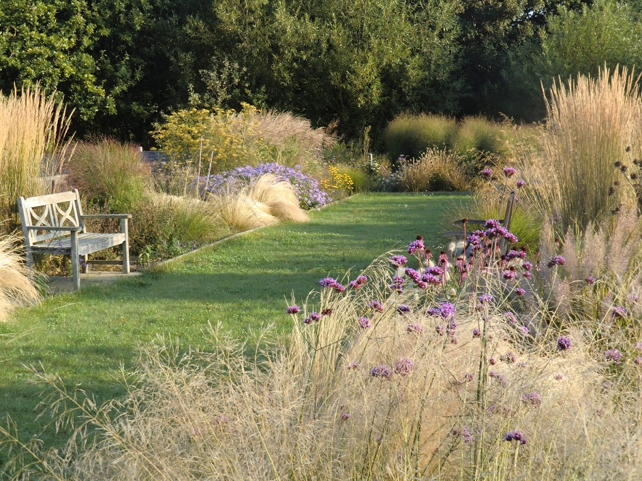 È una buona idea mettere erbe ornamentali in giardino?