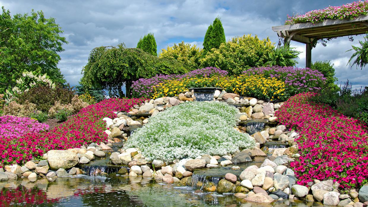 Progettazione del paesaggio del giardino con un giardino roccioso