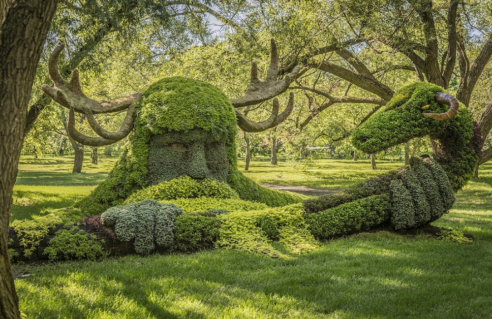 Arbustes de jardin