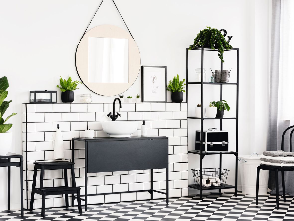 4 Best Bathroom Plants - Find a Perfect Plant for Your Bathroom