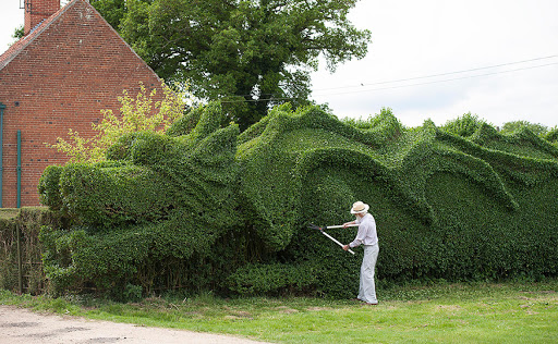 Façonner les arbustes dans le jardin