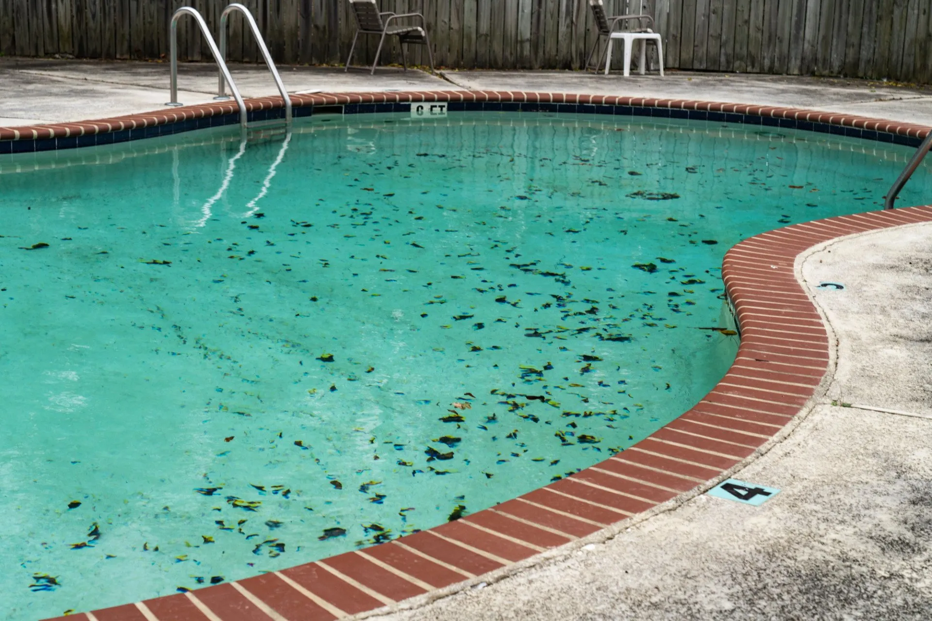 Perché la mia piscina è verde?