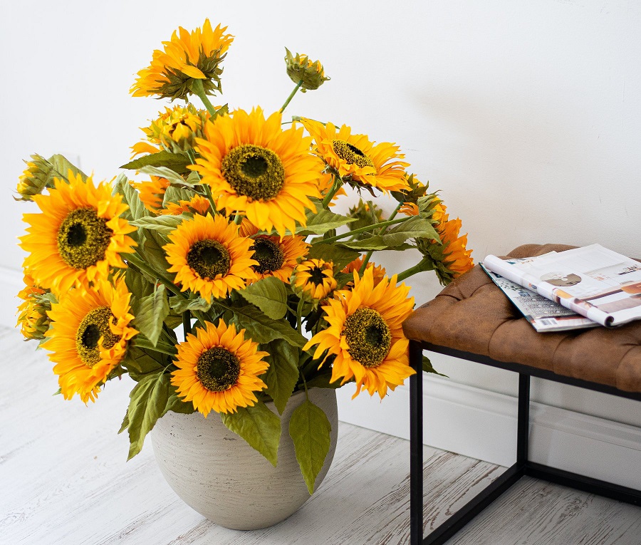 Wie züchtet man Sonnenblumen in Töpfen?