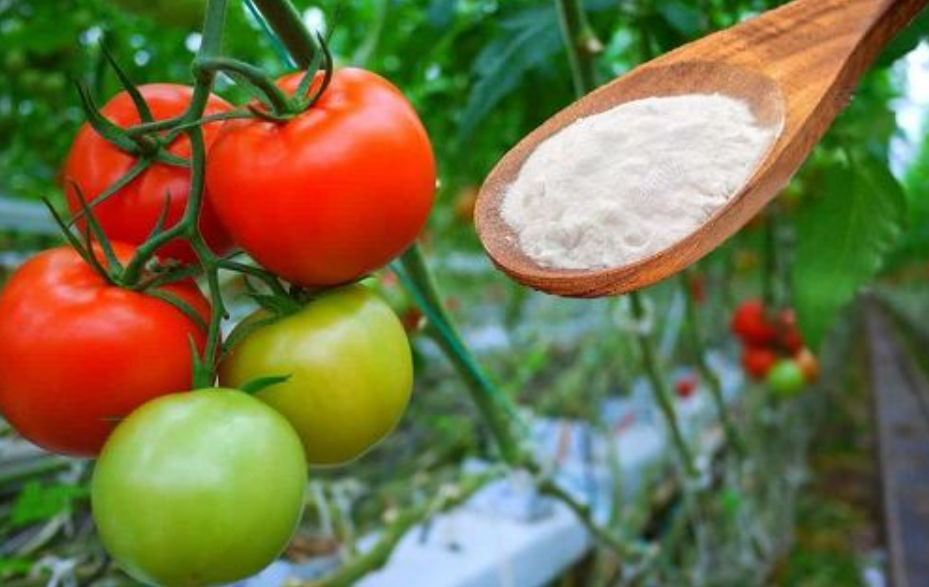 Tuer les pucerons avec du bicarbonate de soude - une solution parfaite pour les insectes dans votre jardin