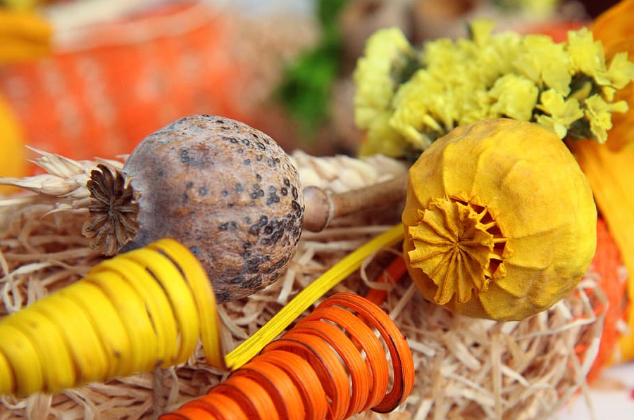 Fiori secchi - decorazioni autunnali fai da te per tutti