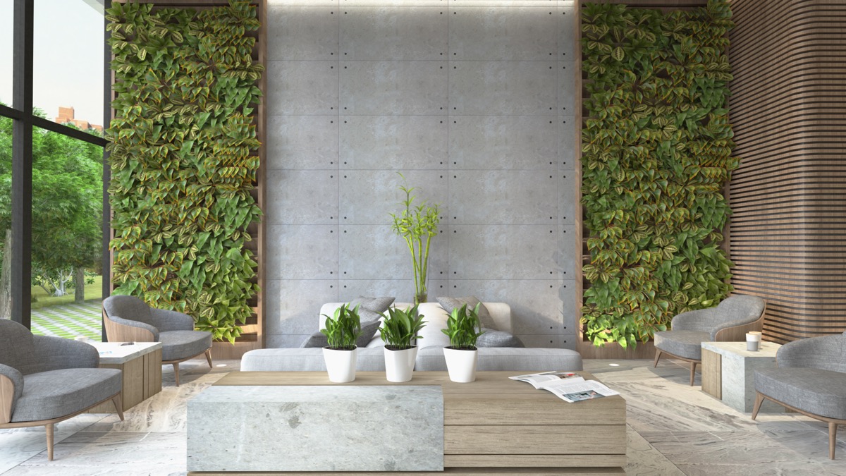 Pared de plantas del salón gris