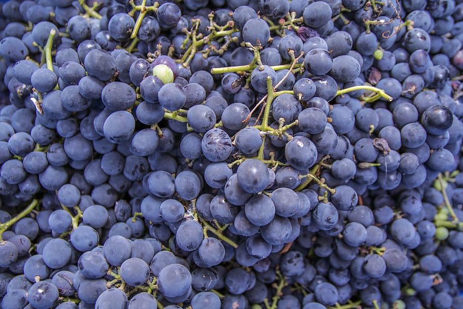 Wie macht man Rotwein? Ein Rezept