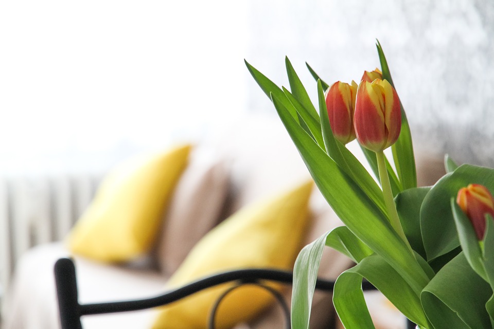 Décor de printemps- 4 superbes idées de décoration intérieure pour le printemps